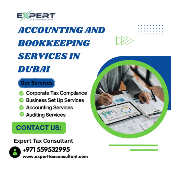 accounting and bookkeeping services in dubai