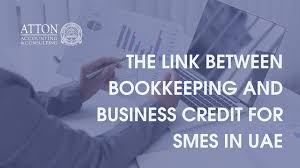 bookkeeping for smes uae