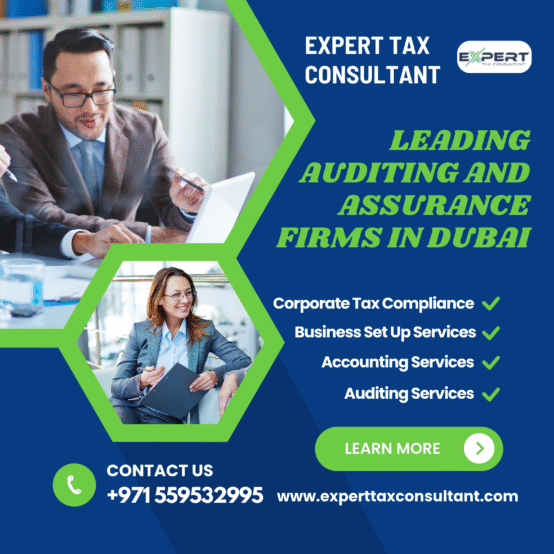 leading auditing and assurance firms in dubai