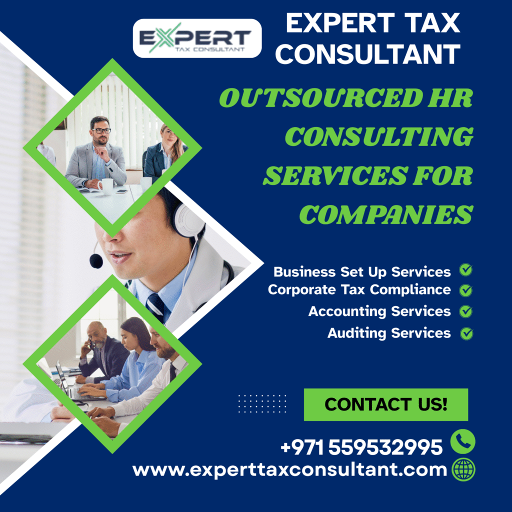 HR Consultation outsourced hr consulting services for companies
