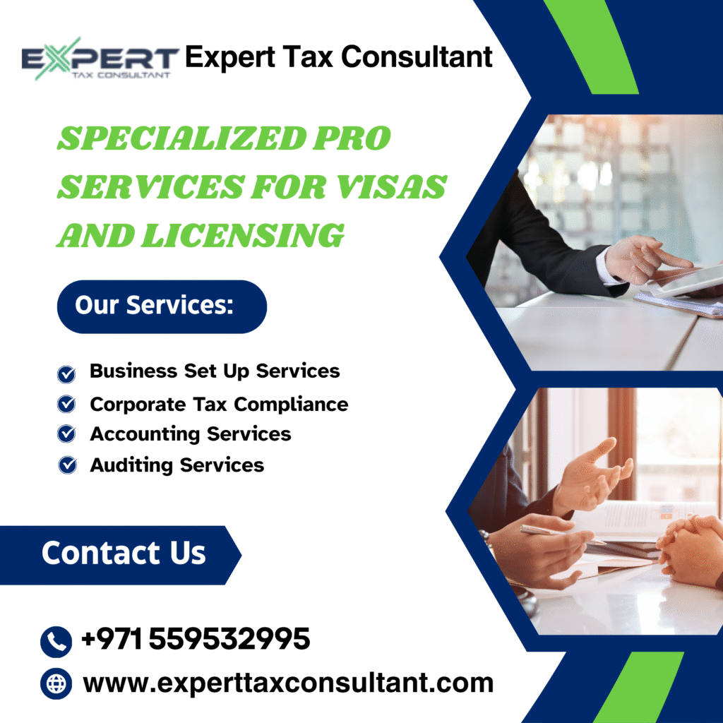 PRO Services specialized pro services for visas and licensing