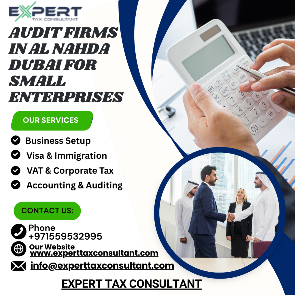 audit firms in al nahda dubai for small enterprises