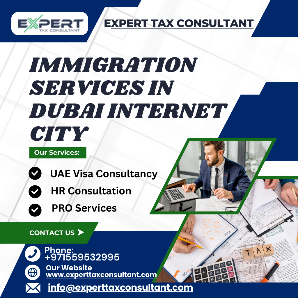 expert tax consultant